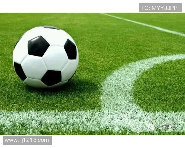 足球竞技赛场的激情与荣耀探秘：从草根到职业的梦想之路